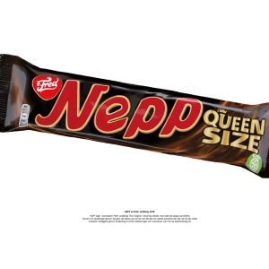 NEPP poster